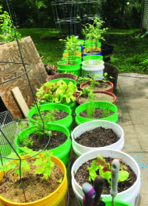 Them That’s Doin’: Bucket Garden Image